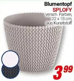 CENTERSHOP Blumentopf SPLOFY Angebot