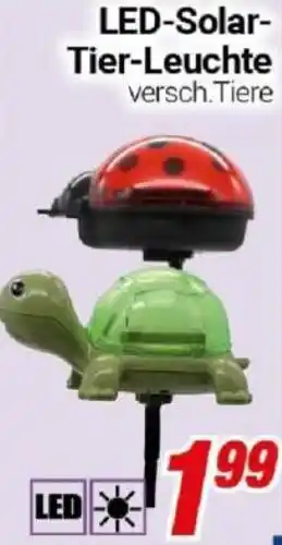 CENTERSHOP LED-Solar Tier-Leuchte Angebot
