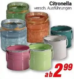 CENTERSHOP Citronella Angebot