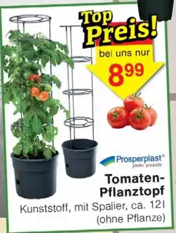 Wiglo Wunderland Tomaten Pflanztopf Angebot