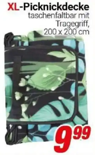 CENTERSHOP XL-Picknickdecke Angebot