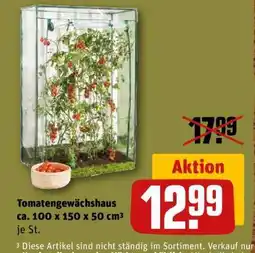 REWE Tomatengewächshaus Angebot