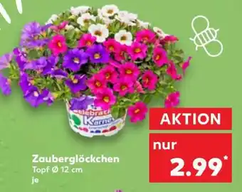 Kaufland Zauberglöckchen Angebot