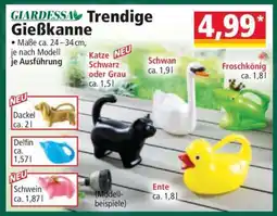 Norma Trendige Gießkanne Angebot