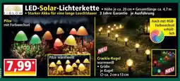 Norma LED-Solar- Lichterkette Angebot