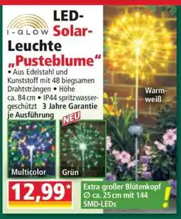 Norma LED-Solar-Leuchte „Pusteblume“ Angebot