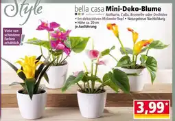 Norma bella casa Mini-Deko-Blume Angebot
