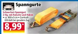 Norma Spanngurte Angebot