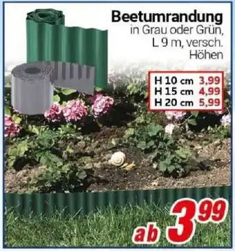 CENTERSHOP Beetumrandung Angebot