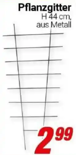 CENTERSHOP Pflanzgitter Angebot