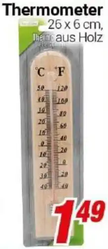 CENTERSHOP Thermometer Angebot