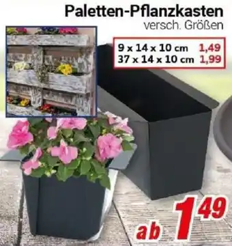 CENTERSHOP Paletten-Pflanzkasten Angebot