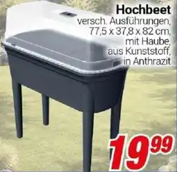 CENTERSHOP Hochbeet Angebot