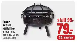 B1 Discount Baumarkt Feuerschale >>Wildlife<< Angebot