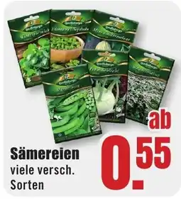 B1 Discount Baumarkt Sämereien Angebot
