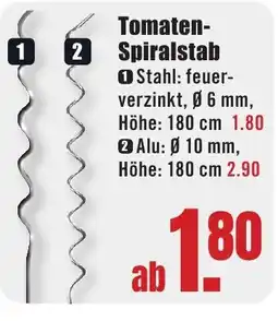B1 Discount Baumarkt Tomaten- Spiralstab Angebot