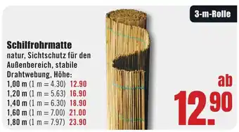 B1 Discount Baumarkt Schilfrohrmatte Angebot
