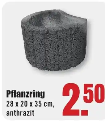 B1 Discount Baumarkt Pflanzring Angebot