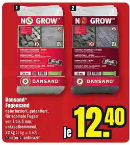 B1 Discount Baumarkt Dansand Fugensand Angebot