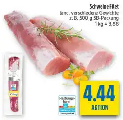 diska Schweine Filet Angebot