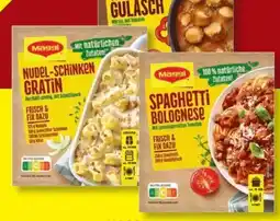 Lidl Maggi Fix Angebot
