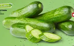 PENNY Marktliebe Mini-Gurke Angebot