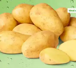 PENNY Marktliebe Speisefrühkartoffeln Spargelkartoffeln Angebot