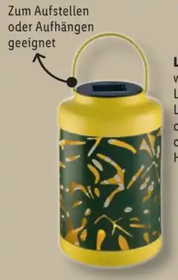 Lidl Livarno Home LED-Solar Leuchte Angebot