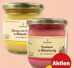 PENNY Honig Himstedt Blütenhonig Angebot