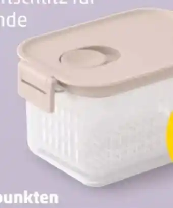 PENNY Brabantia Kühlschrank Frischhalteboxen Angebot