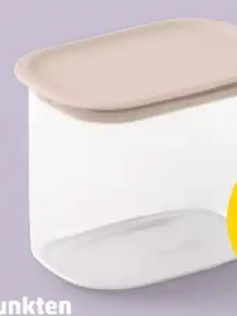 PENNY Brabantia Stapelbarer Behälter Angebot