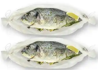 Scheck-in-Center Dorade Royale Angebot