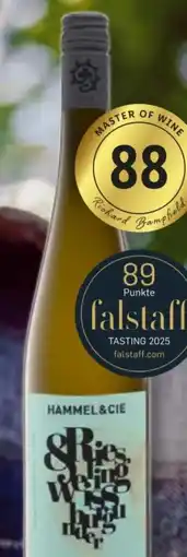 Lidl Hammel & Cie Riesling Weißburgunder Angebot