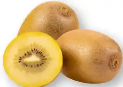 Scheck-in-Center Kiwi Gold Angebot