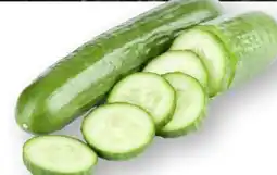 Scheck-in-Center Gurken Angebot