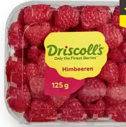 Scheck-in-Center Driscoll's Himbeeren Angebot
