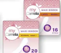 Scheck-in-Center My Camelia Maxi Binden Angebot