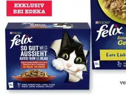 Scheck-in-Center Purina Felix Katzennahrung Angebot