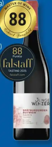 Lidl Junge Winzer Spätburgunder Angebot