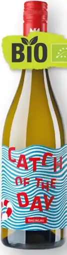 Scheck-in-Center Bioweingut Kaufmann Bio Catch of the day Angebot