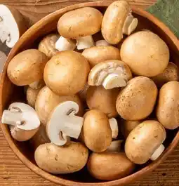 REWE Center Rewe Bio Champignons Angebot