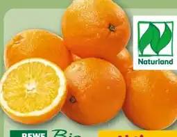 REWE Center Rewe Bio Orangen Angebot