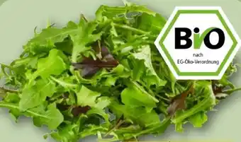 REWE Center Rewe Bio Crispy Salatmix Angebot