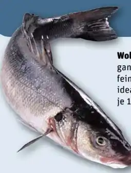 REWE Center Wolfsbarsch Angebot