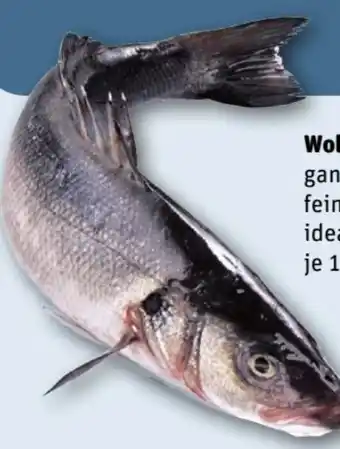 REWE Center Wolfsbarsch Angebot