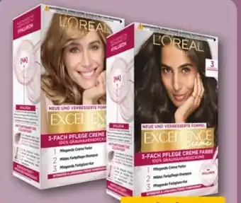 REWE Center L'Oréal Paris Excellence Creme Coloration Angebot