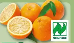 REWE Rewe Bio Orangen Angebot