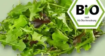 REWE Rewe Bio Crispy Salatmix Angebot