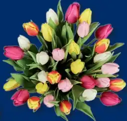 Lidl XXL Tulpenstrauß Angebot