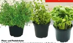 Hellweg Plantiflor Pizza- und Pastakräuter Angebot